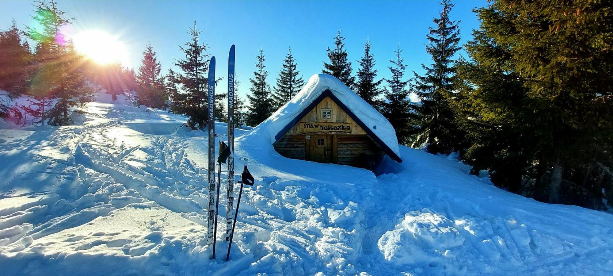 Tiny House Lavender Villa Podturen Buitenkant foto